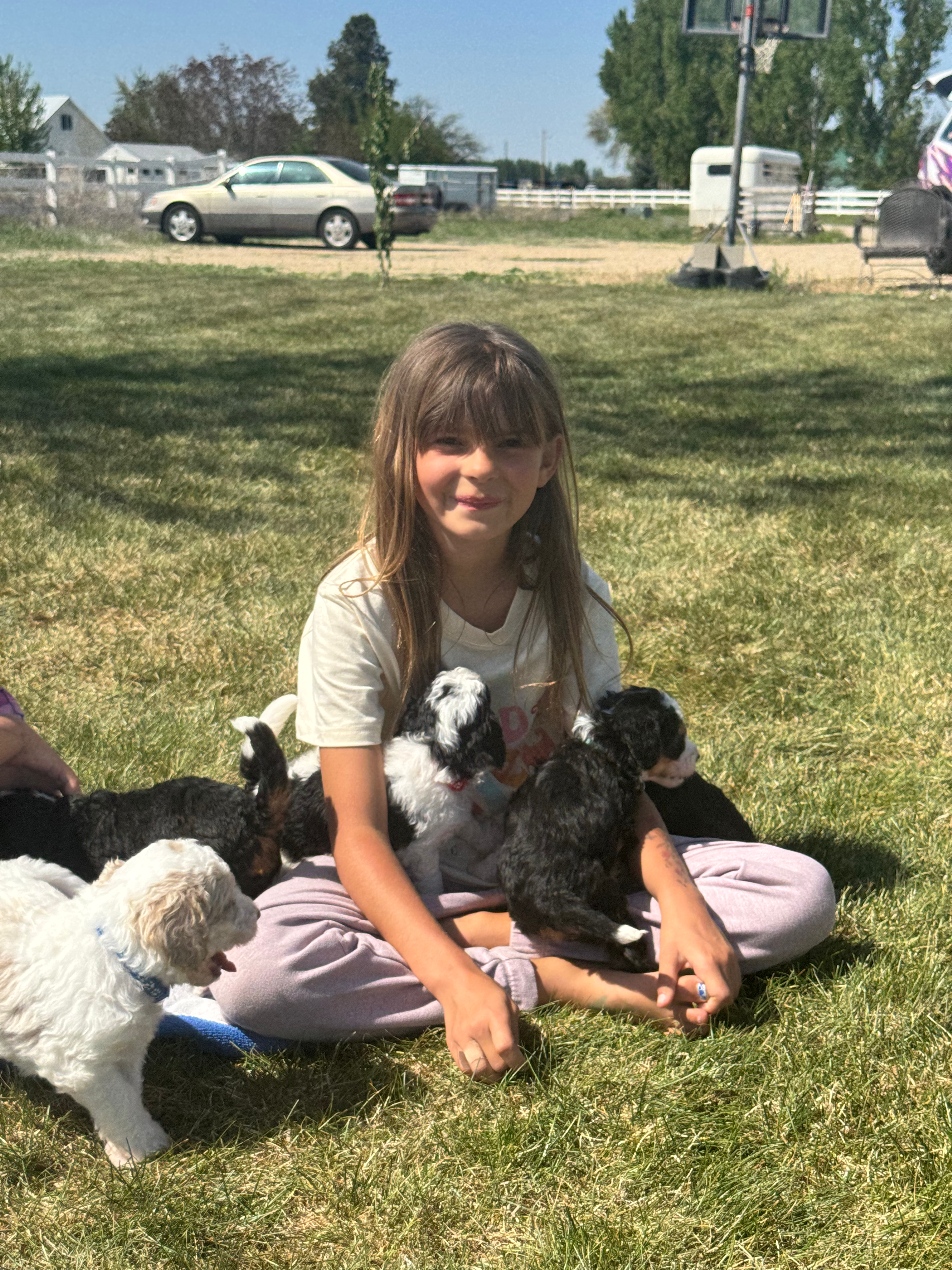 Londyn, Puppy Play Manager at Wilder Doodles