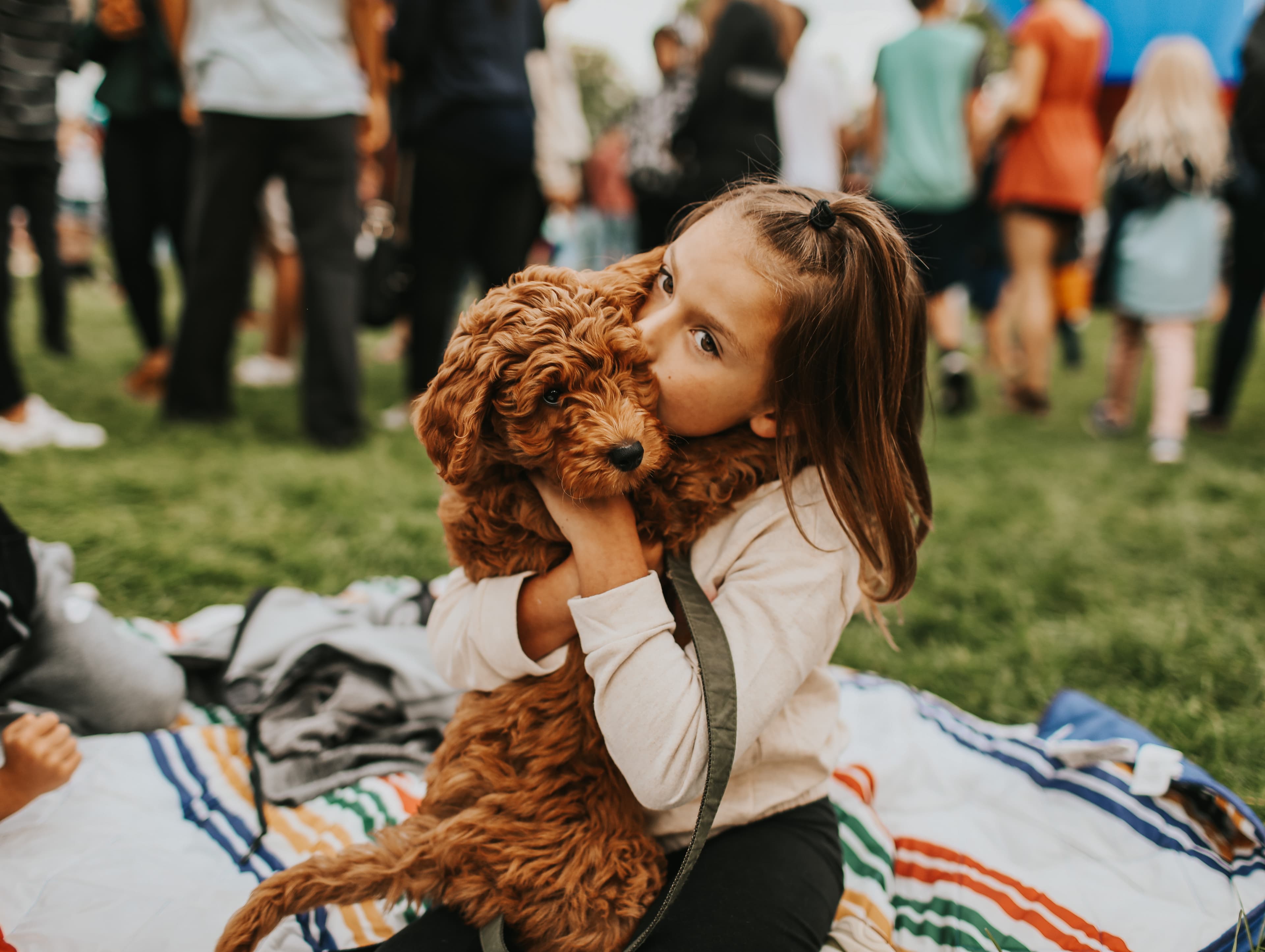 Child holding a mini goldendoodle puppy at Wilder Doodles in Wilder, Idaho
